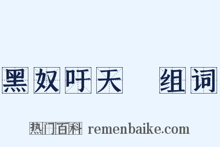 黑奴吁天録组词是什么意思的图片